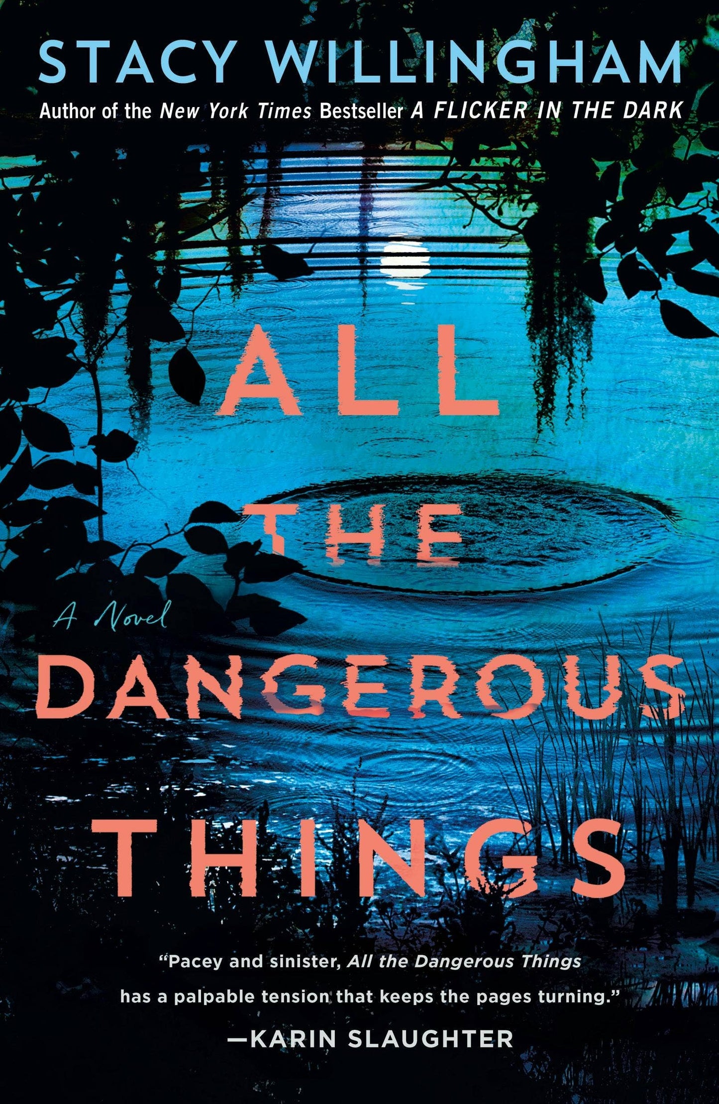All The Dangerous Things: A Novel